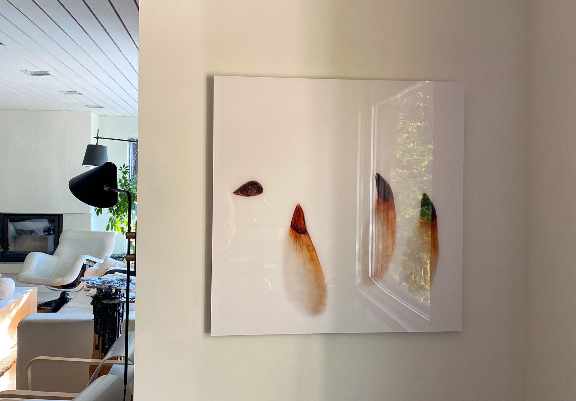 Valokuvataide / Vesa Aaltonen: ALKU I